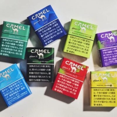 CAMEL駱駝